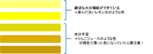 水分補給判定　尿の色.png