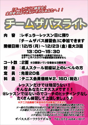 12月チームザバスライト.JPG