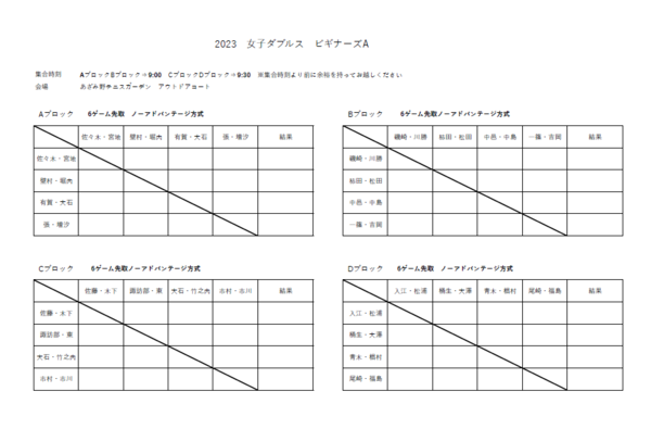 azamino ビギナーズA2306a.png